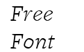 FreightMicro LightItalic