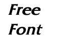 FritzQuadrata Bold Italic