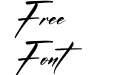 Andilanteria Signature Italic