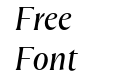 FH Total Display Test Light Italic FH Total Display Test Light Italic