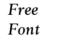 FSP DEMO Ozzie Medium Italic Regular FSP DEMO Ozzie Medium Italic Regular