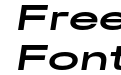 FSP DEMO Premis Semibold Extended Italic Regular FSP DEMO Premis Semibold Extended Italic Regular