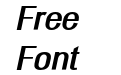 PLAYFULRUNWAY Black Italic PLAYFULRUNWAY Black Italic
