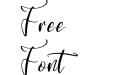 Ambrella Mildflower DEMO VERSIO Italic Ambrella Mildflower DEMO VERSIO Italic