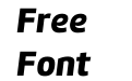 Amelia Basic Black Italic Amelia Basic Black Italic