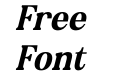 Braden DEMO VERSION Italic Braden DEMO VERSION Italic