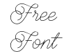 Brayden Script Thin Brayden Script Thin