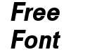 Example Bold Italic Example Bold Italic