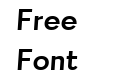 Firme Bold Italic Firme Bold Italic