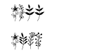 Floralipart2 Regular Floralipart2 Regular