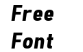 Freeroad Bold Italic Freeroad Bold Italic