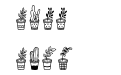 Home Plants Regular Home Plants Regular