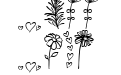 Jasminum Extra Jasminum Extra