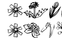 KR Spring Bounty KR Spring Bounty
