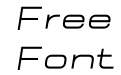 Langith Thinitalic Personal Langith Thinitalic Personal