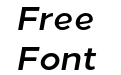 Loew Bold Italic Loew Bold Italic