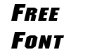 Metal Encasement Extended ItalicSWFTE Metal Encasement Extended ItalicSWFTE