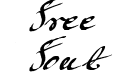 Mickey Script Mickey Script