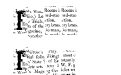 Nelson Old News Paper Regular Nelson Old News Paper Regular