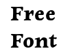Newt Serif Bold Newt Serif Bold
