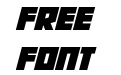 Robot Radicals Italic Robot Radicals Italic