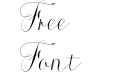 Roicamonta Basic Italic Roicamonta Basic Italic