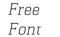 Selektor Slab Light Italic Selektor Slab Light Italic