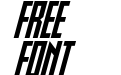 Slimbots Italic Slimbots Italic