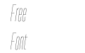 TT Directors Thin Italic TT Directors Thin Italic