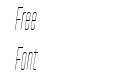 TT Directors Thin Italic TT Directors Thin Italic