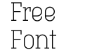 Technik Serif 100 Technik Serif 100