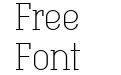 Technik Serif 100
