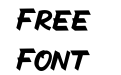 The Radicools Italic The Radicools Italic