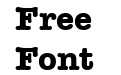 Typewriter Bold Typewriter Bold