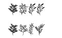 Wildplants Regular Wildplants Regular