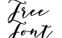 Wisdom Script Regular Wisdom Script Regular