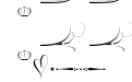 Wishes Script Ornaments Display Bo Wishes Script Ornaments Display Bo
