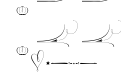 Wishes Script Ornaments Display Li Wishes Script Ornaments Display Li