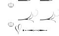 Wishes Script Ornaments Display Wishes Script Ornaments Display