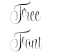 Wishes Script Pro Display Light Wishes Script Pro Display Light