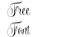 Wishes Script Pro Text Wishes Script Pro Text