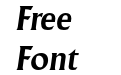 Adelon Serial Bold Italic