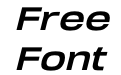 Arupala Grotesk W05 Bold Italic Arupala Grotesk W05 Bold Italic