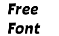 Auster Black Italic