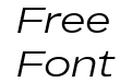 BD Megatoya Extended Italic BD Megatoya Extended Italic