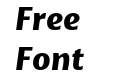 Basel Neue Black Italic