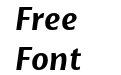 Basel Neue Bold Italic