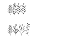 Bee Leaves Regular Bee Leaves Regular