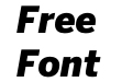 Benton Sans Black Italic Benton Sans Black Italic
