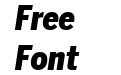 Benton Sans Condensed Black Italic